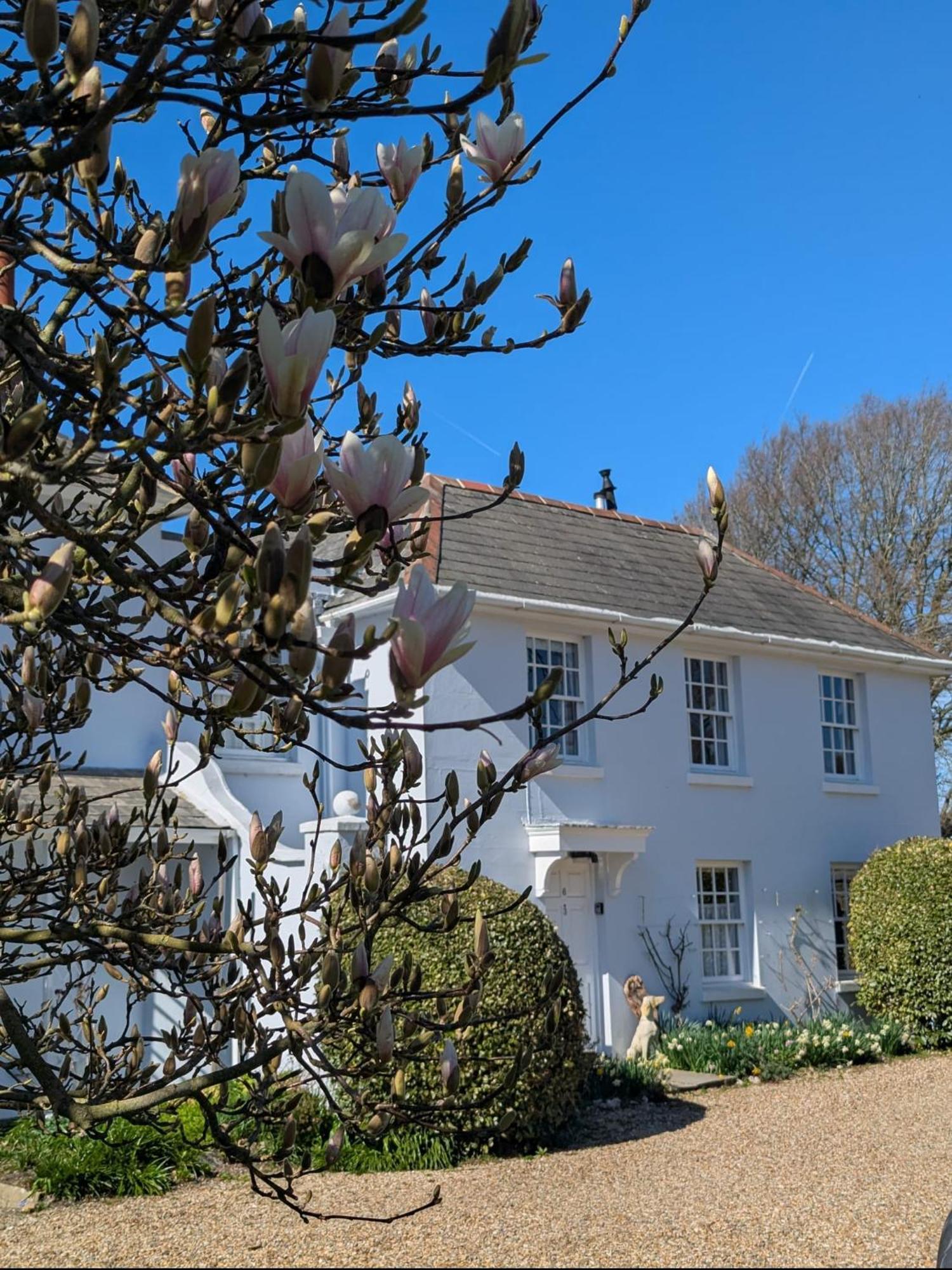 Georgian 2 Bedroom Apartment In Chichester With Free Parking - Chichester Holiday Properties Exteriör bild