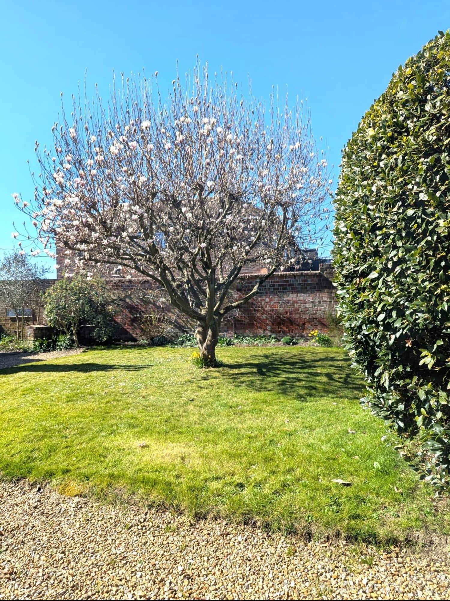 Georgian 2 Bedroom Apartment In Chichester With Free Parking - Chichester Holiday Properties Exteriör bild