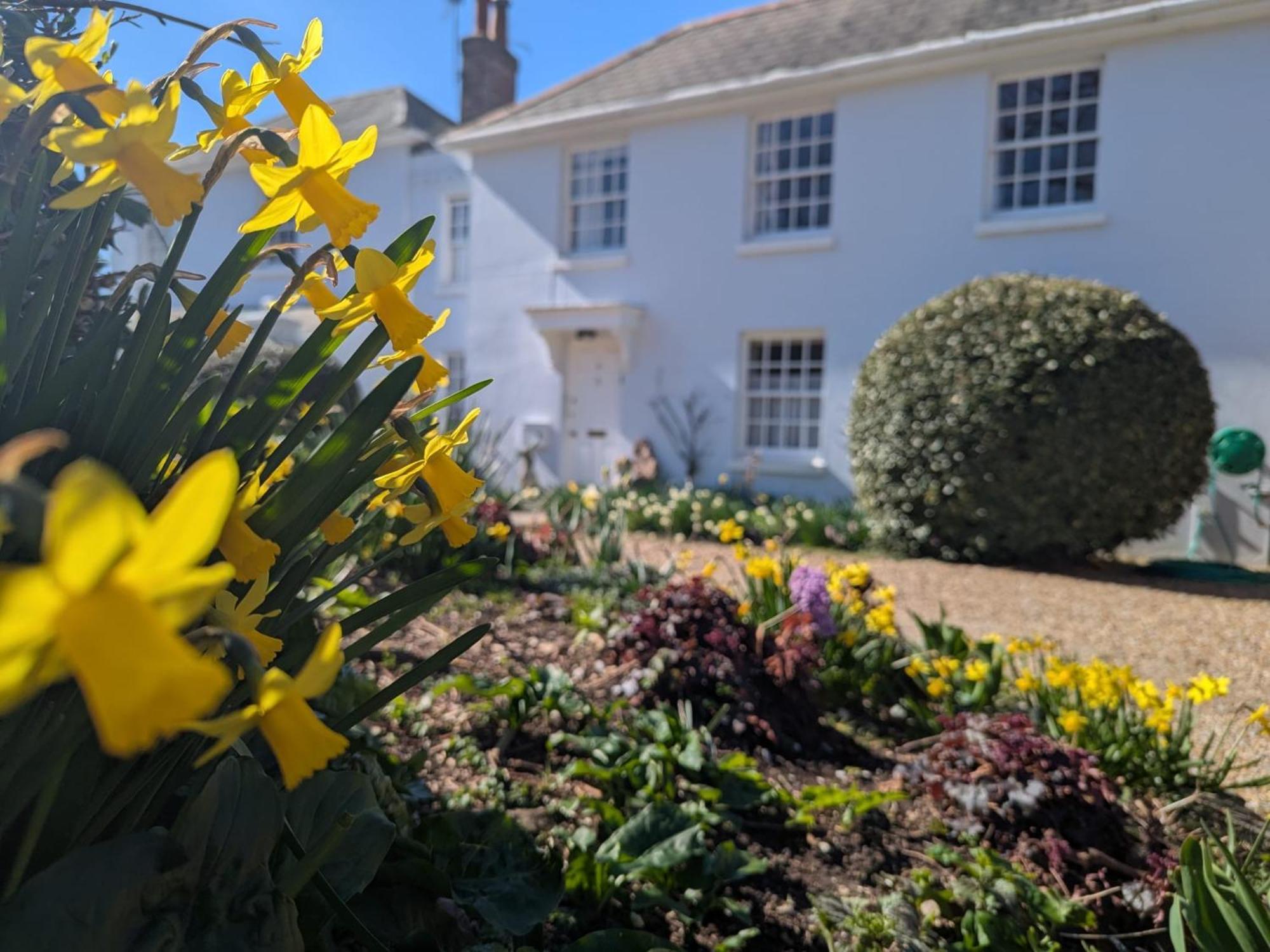 Georgian 2 Bedroom Apartment In Chichester With Free Parking - Chichester Holiday Properties Exteriör bild