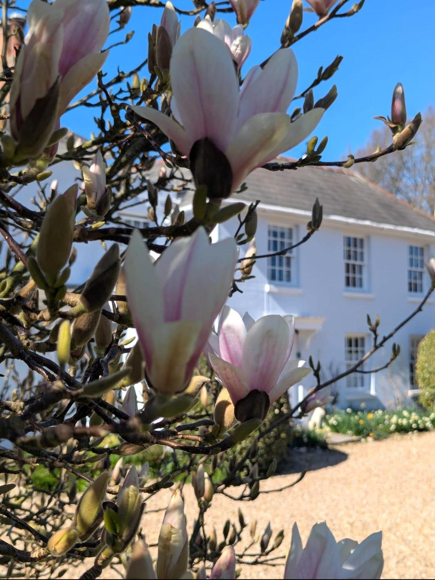Georgian 2 Bedroom Apartment In Chichester With Free Parking - Chichester Holiday Properties Exteriör bild